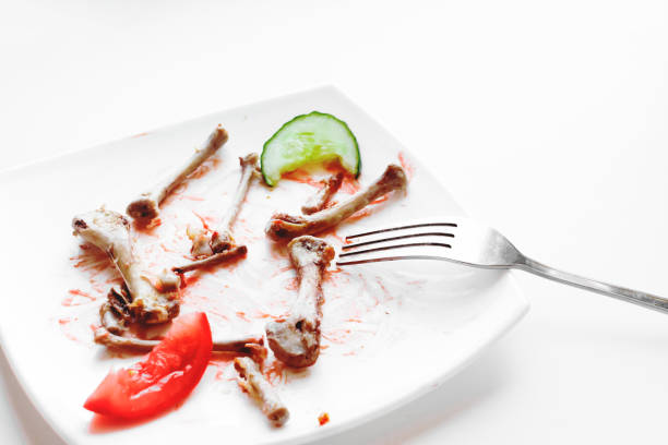 Fresh made grilled rump steak vegetable salad with soft cheese on plate, close-up, no people