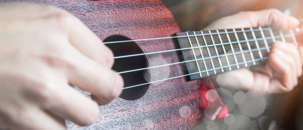istock Mahogany ukulele close-up on dark background 1143244795