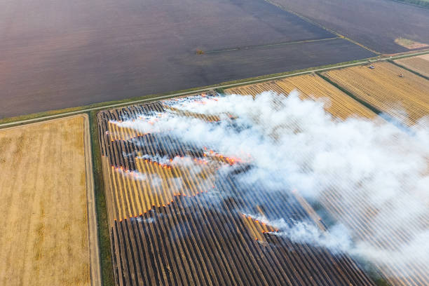 istock Burning straw in the fields after harvesting wheat crop 1143249445