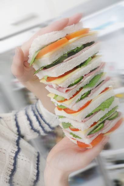 Hands hold tall sandwich