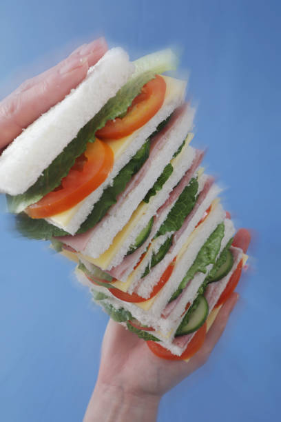 Hands hold tall sandwich