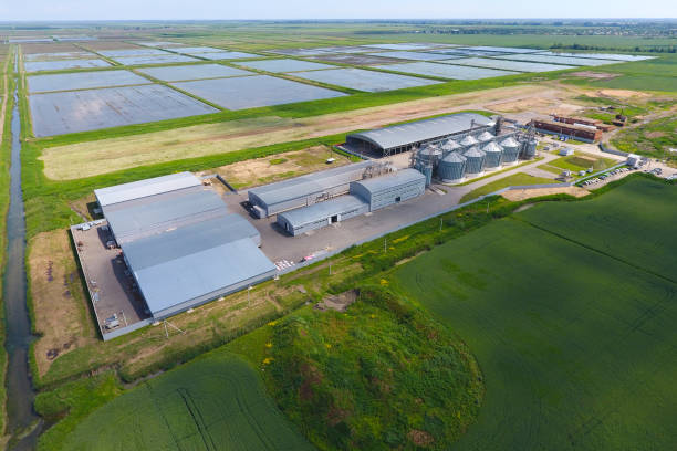 istock Plant for the drying and storage of grain. Top view. Grain terminal. 1143250183