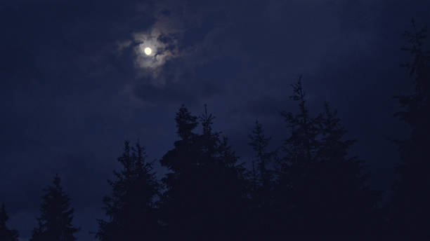 istock Moon shining above spruce trees 1143253760
