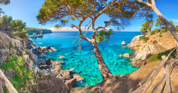 Cala Deia Mallorca Majorca Baleares Spain Mediterranean Sea