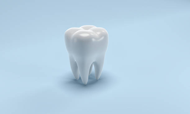zahn, 3d abbildung - tooth character stock-fotos und bilder