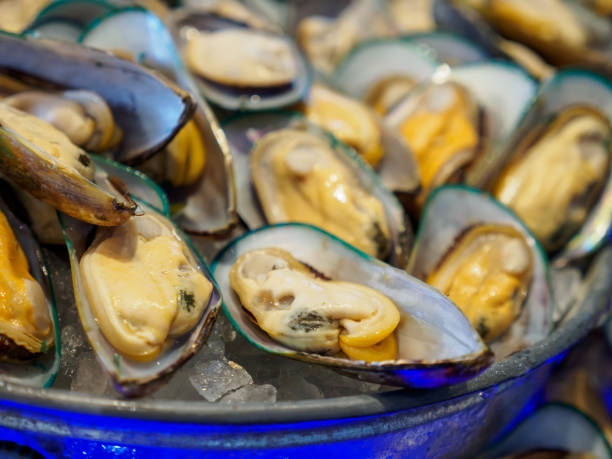 Boiled green-lipped New Zealand mussels in ice bowl stock photo