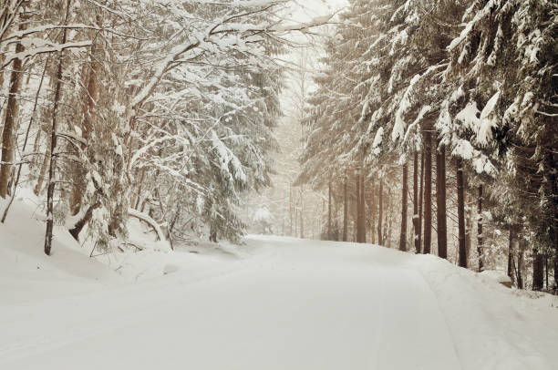istock Winter forest road in the mountains. 1143257458
