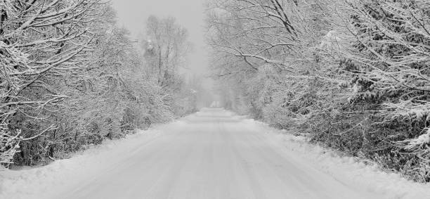 Scenic winter road through forest covered in snow after snowfall