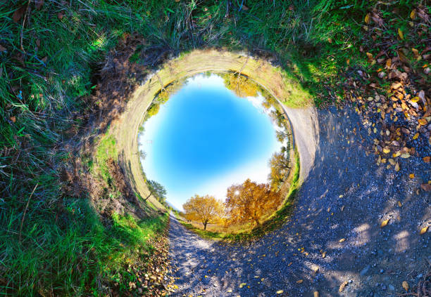istock Stereographic panoramic projection of an autumn tree 1143257709