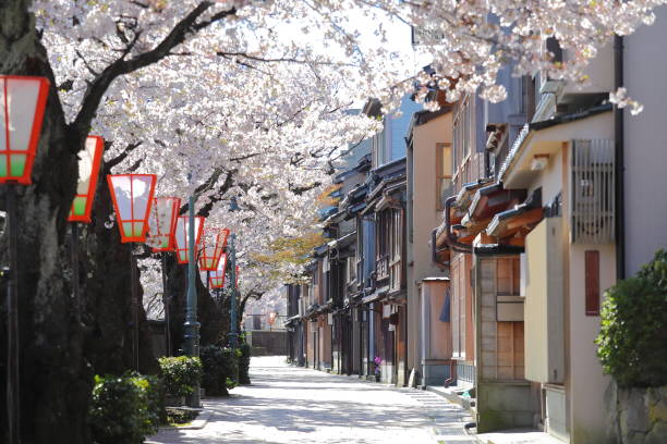 Cherry blossom Higashiyama teahouse old house street Kanazawa Japan stock photo