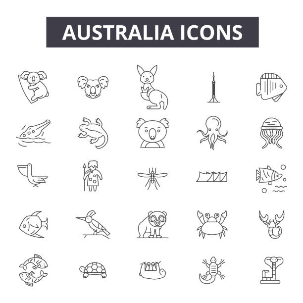 illustrazioni stock, clip art, cartoni animati e icone di tendenza di icone della linea australia, set di segni, vettore. australia schema concetto, illustrazione: australia,mappa,isolato,viaggio,sydney,australiano,paese - koala australia sydney australia animal