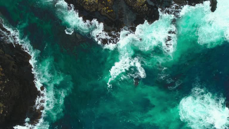 New zealand nature
