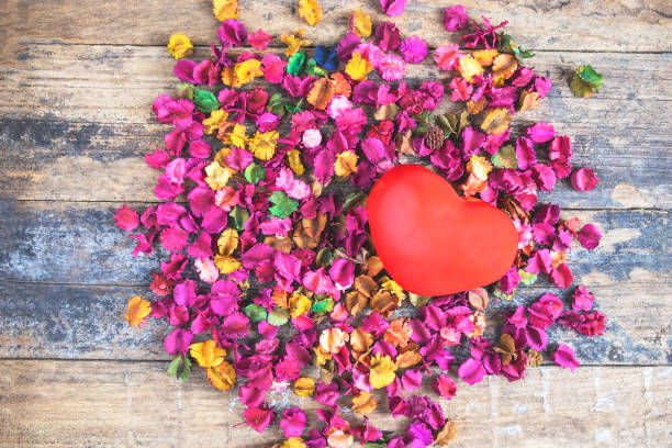 istock Red heart on dried flowers 1143266377
