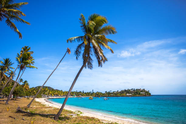 istock Caribbean beach - Carlisle Bay, Antigua & Barbuda 1143267256