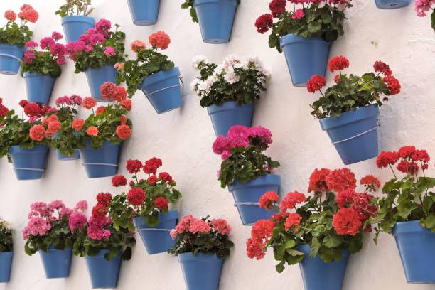 Andalucia Spain whitewashed village flower pot wall display