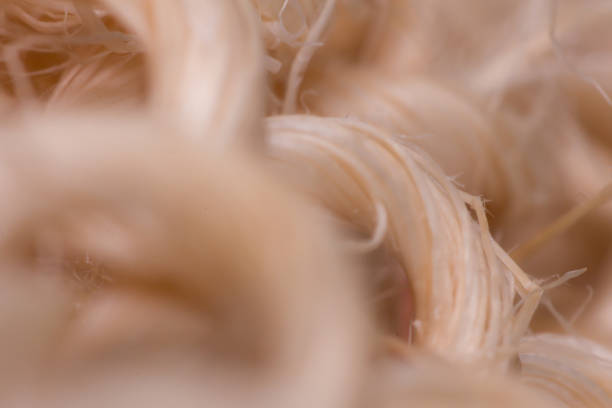 istock plant fiber patten 1143271015