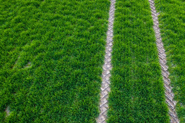 Tractor fresh trace on the field, above view from drone.