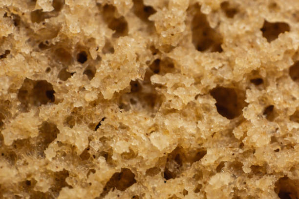 istock bread in macro photography 1143271946