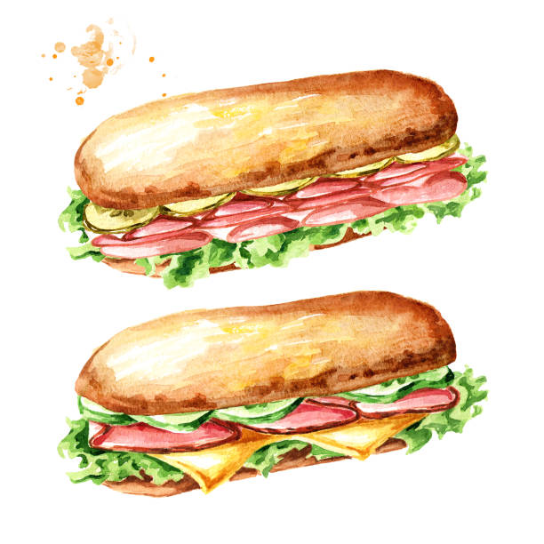 ilustraciones, imágenes clip art, dibujos animados e iconos de stock de sándwich sub con jamón y verduras. acuarela dibujado a mano ilustración, aislado sobre fondo blanco - bacon illustration and painting pork ham