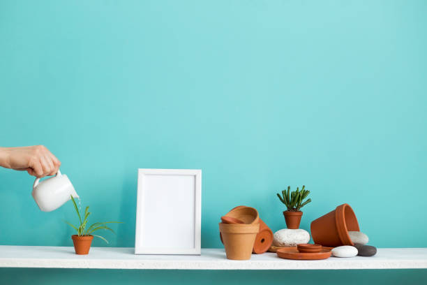 istock Modern room decoration with picture frame mockup. White shelf against pastel turquoise wall with pottery and succulent plant. Hand watering potted spider plant. 1143273667