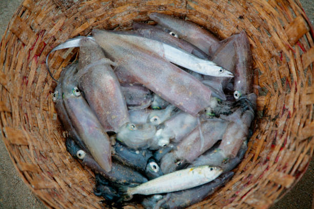 A round wicker basket with fresh seafood on the sand on the ocean.