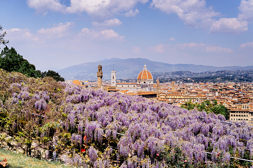 Florence cityscape in spring