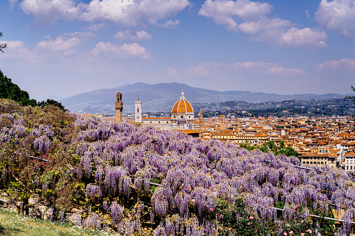 Florence cityscape in spring
