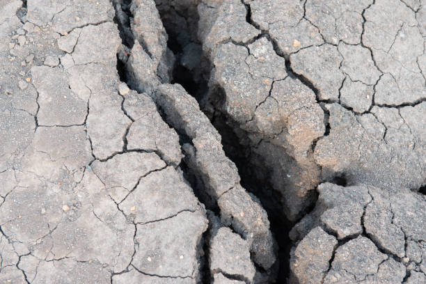 Cracked and dry soil background,Close up shot of drought, dried soil photographed from top view.
