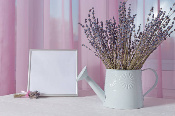 Bunch of dry lavender in watering can with picture frame (mock-up) about window on white table. Soft focus.