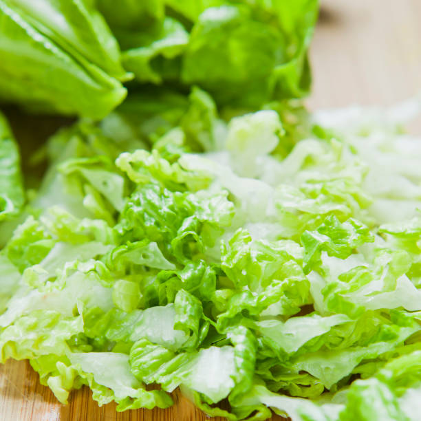 istock Romaine Lettuce -  green healthy salad ingredient. 1143279558
