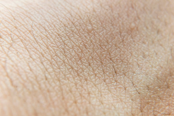 istock macro photo of a human skin texture b 1143281772