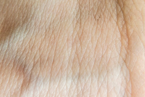 istock macro photo of a human skin texture b 1143281790