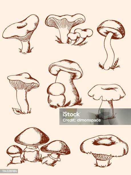 Ensemble De Vintage De Champignons Vecteurs libres de droits et plus d'images vectorielles de 1940-1949 - 1940-1949, Bolet, Champignon comestible