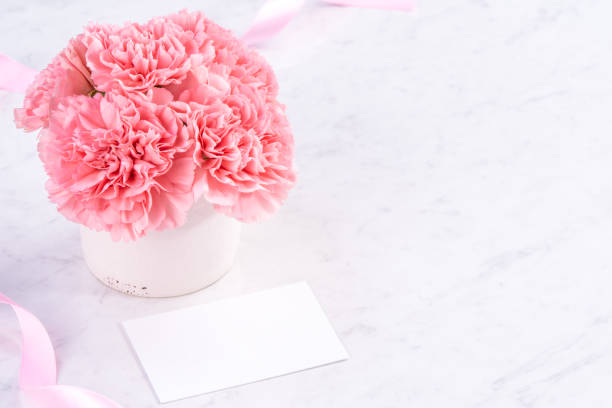 istock Copy space, close up, mock up, clipping path. Mothers day wording concept design. Beautiful fresh blooming baby pink color carnations isolated on bright marble background. 1143282876