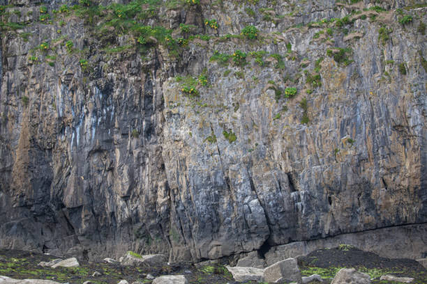 istock Simple front view of a rocky cliff face with vegetation growing out from it 1143283360