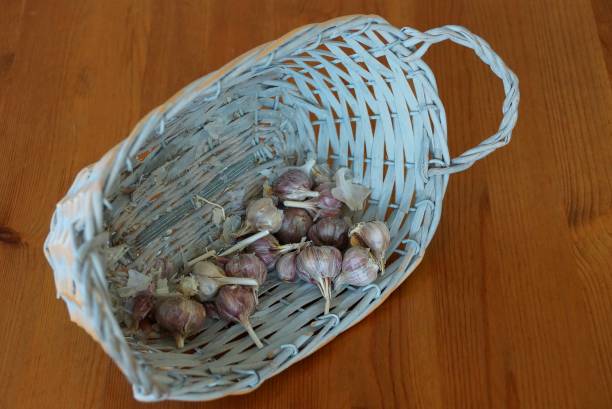 istock garlic in a gray wicker basket on a wooden brown table 1143284215
