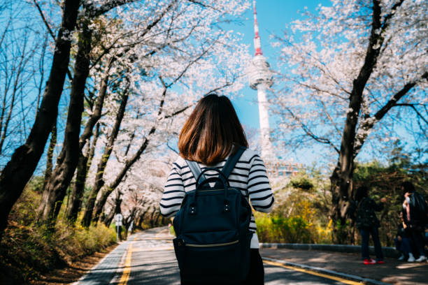 jeune femme voyageur routard voyageant dans n seoul tower au mont namsan à séoul city, corée du sud - asiatique du sud photos et images de collection