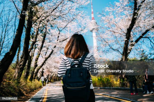 Young Woman Traveler Backpacker Traveling Into N Seoul Tower At Namsan Mountain In Seoul City South Korea Stock Photo - Download Image Now