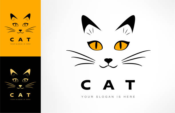 illustrations, cliparts, dessins animés et icônes de vecteur de museau de chat. illustration animale. - animal fur domestic cat persian cat