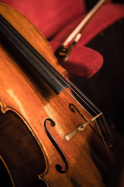 Classical musical string instrument