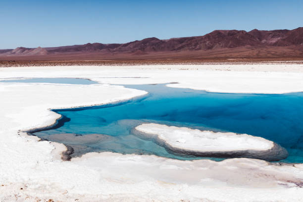 istock Beautiful salt lagoon in Atacama desert 1143286818