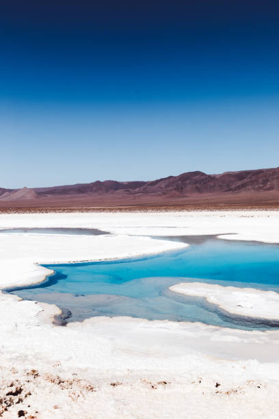 istock Beautiful salt lagoon in Atacama desert 1143287860