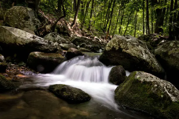 Photo of Apple Orchard Falls Photography Hike - Virginia