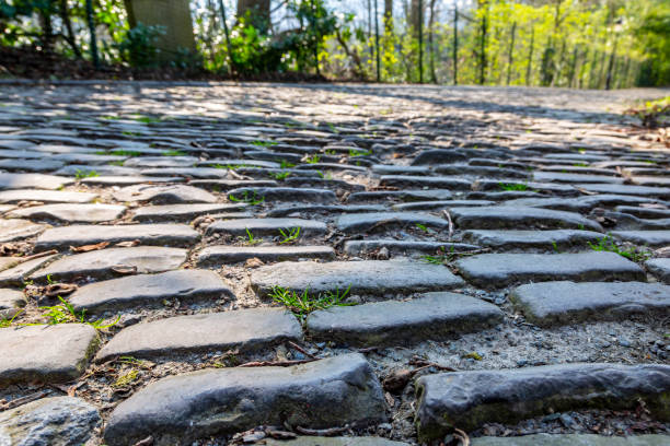 Detail of the famous cobblestone road Muur van Geraardsbergen located in Belgium. On this road every year is organized the famous one day road cycling race Tour of Flanders.