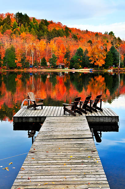 istock Colorful Autumn leaves behind wooden dock 114329657