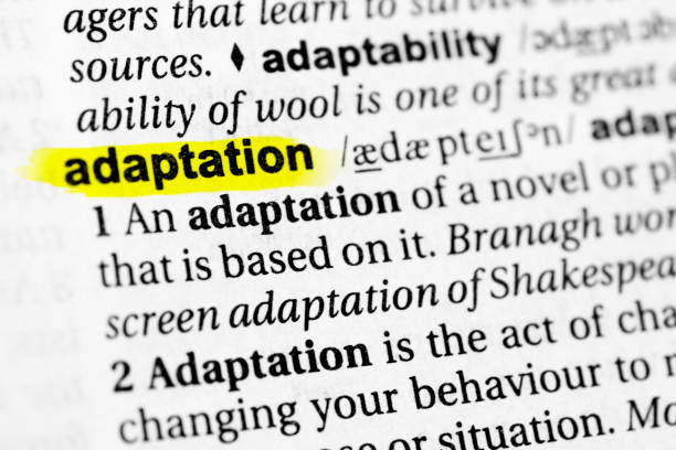 istock Highlighted English word 
