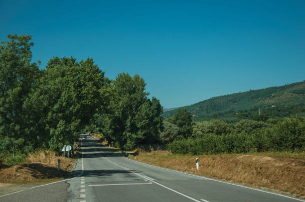 istock Road passing through rural landscape 1143298872