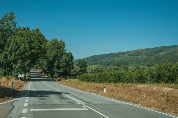 istock Road passing through rural landscape 1143299368