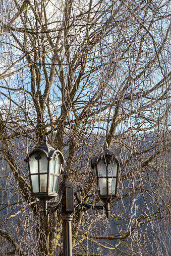 Outdoors vintage lamp post with branches in background