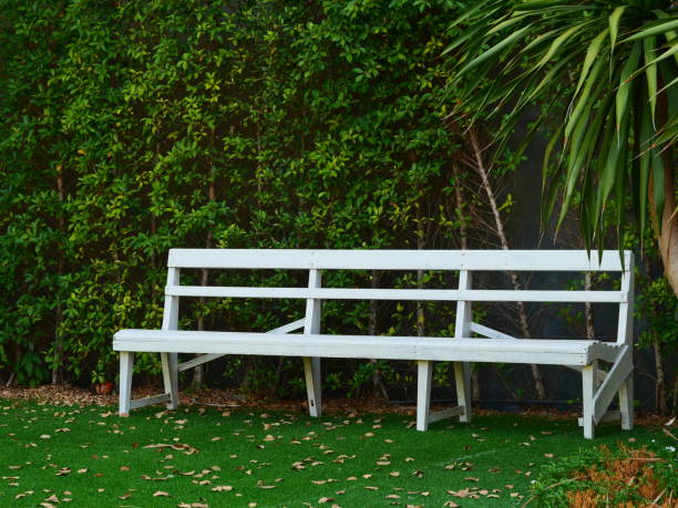 istock Wooden Bench in garden 1143300927